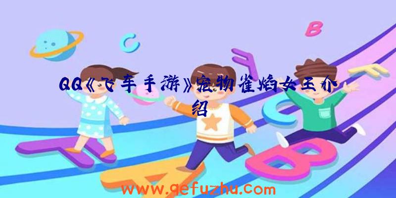 QQ《飞车手游》宠物雀焰女王介绍