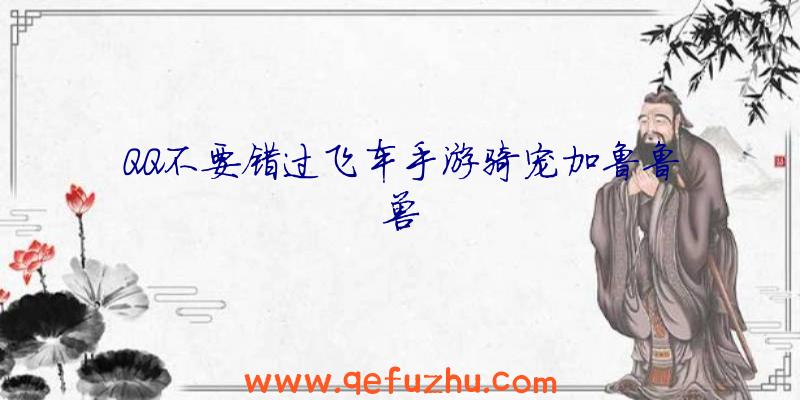 QQ不要错过飞车手游骑宠加鲁鲁兽