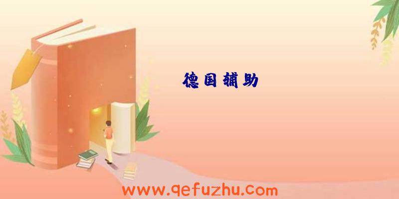 apex德国辅助