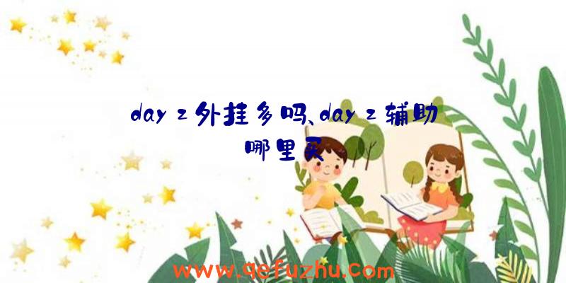 dayz外挂多吗、dayz辅助哪里买