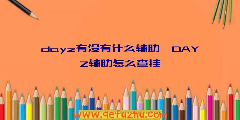 dayz有没有什么辅助、DAYZ辅助怎么查挂