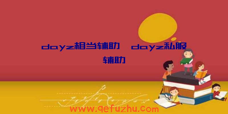 dayz相当辅助、dayz私服辅助