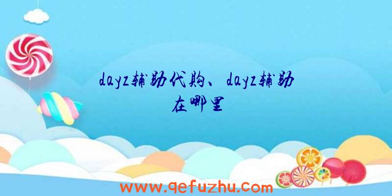 dayz辅助代购、dayz辅助在哪里