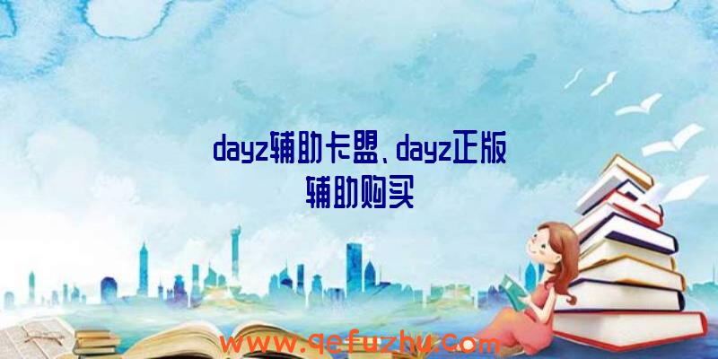 dayz辅助卡盟、dayz正版辅助购买