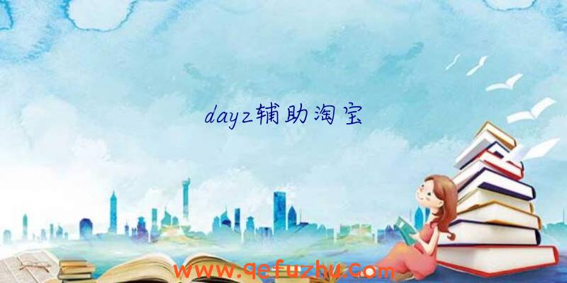 dayz辅助淘宝