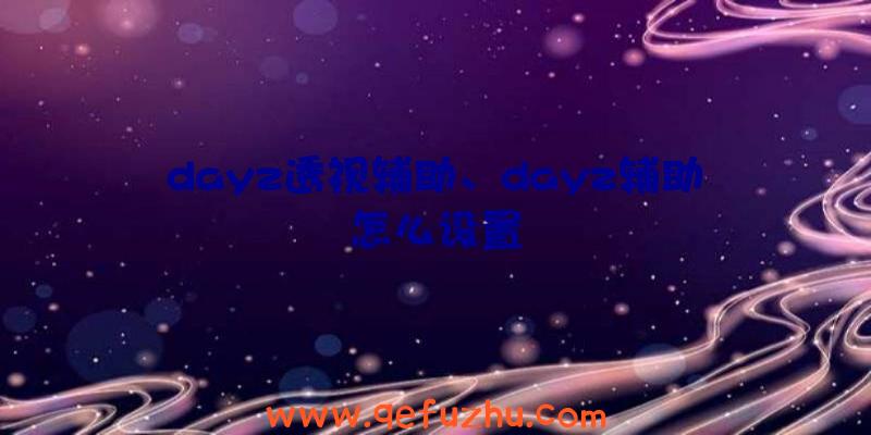dayz透视辅助、dayz辅助怎么设置