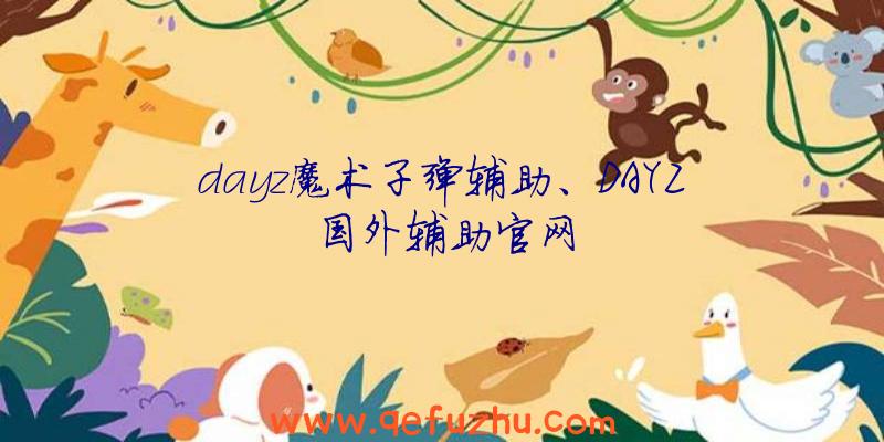 dayz魔术子弹辅助、DAYZ国外辅助官网