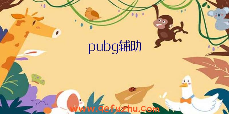 pubg辅助