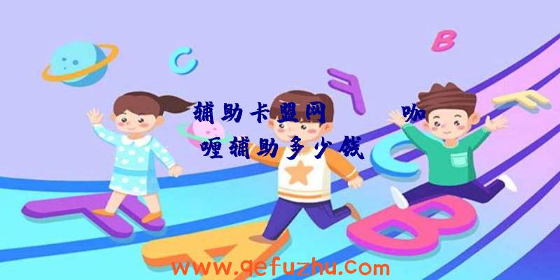 rust辅助卡盟网、rust咖喱辅助多少钱