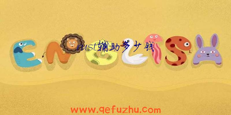 rust辅助多少钱
