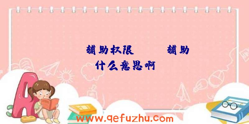 rust辅助权限、rust辅助什么意思啊