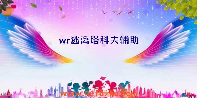 wr逃离塔科夫辅助