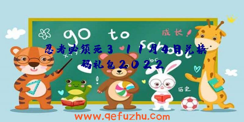 《忍者必须死3》11月4日兑换码礼包2022