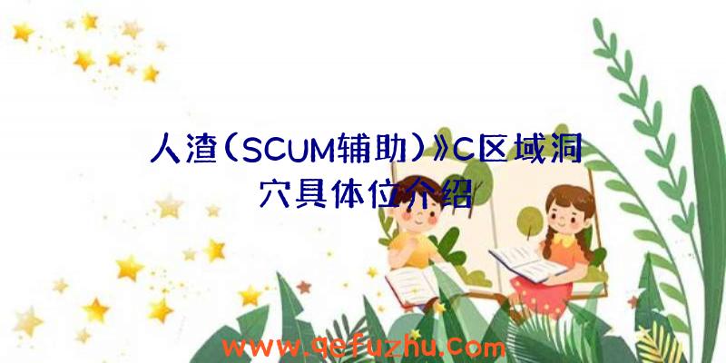 人渣(SCUM辅助)》C区域洞穴具体位介绍
