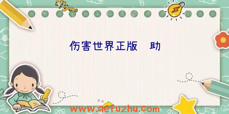 伤害世界正版辅助