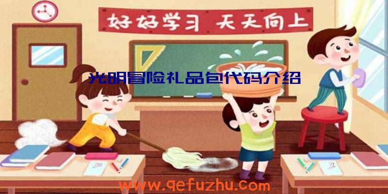 光明冒险礼品包代码介绍