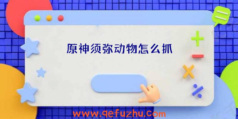 原神须弥动物怎么抓