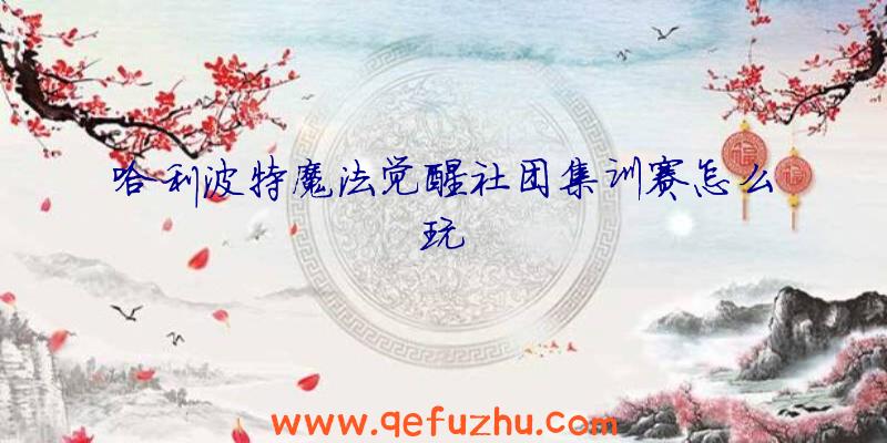 哈利波特魔法觉醒社团集训赛怎么玩