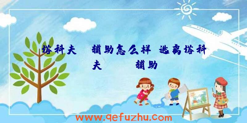 塔科夫aj辅助怎么样、逃离塔科夫black辅助