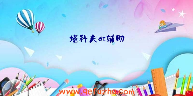 塔科夫dt辅助
