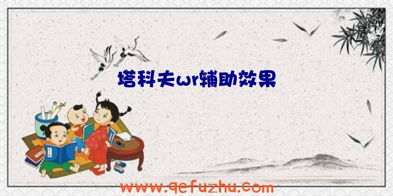 塔科夫wr辅助效果