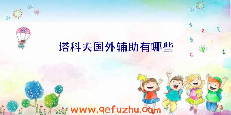 塔科夫国外辅助有哪些