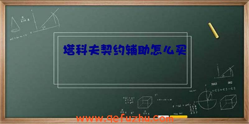 塔科夫契约辅助怎么买
