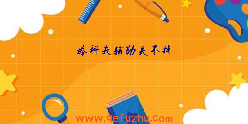 塔科夫辅助关不掉