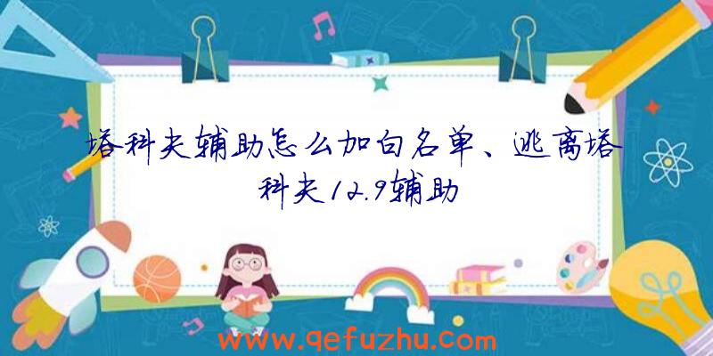 塔科夫辅助怎么加白名单、逃离塔科夫12.9辅助