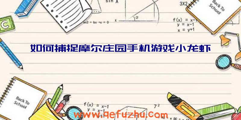 如何捕捉摩尔庄园手机游戏小龙虾
