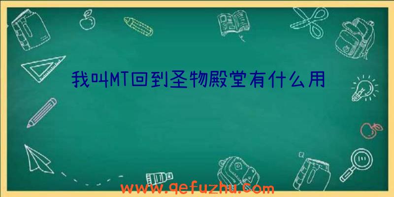 我叫MT回到圣物殿堂有什么用