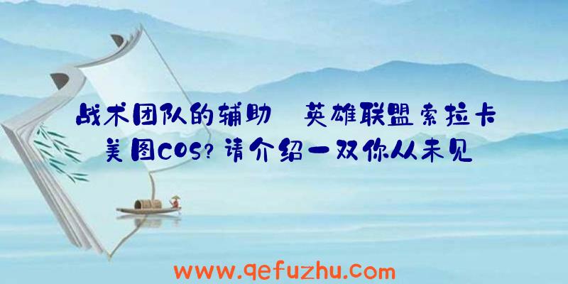 战术团队的辅助:英雄联盟索拉卡美图COS？请介绍一双你从未见