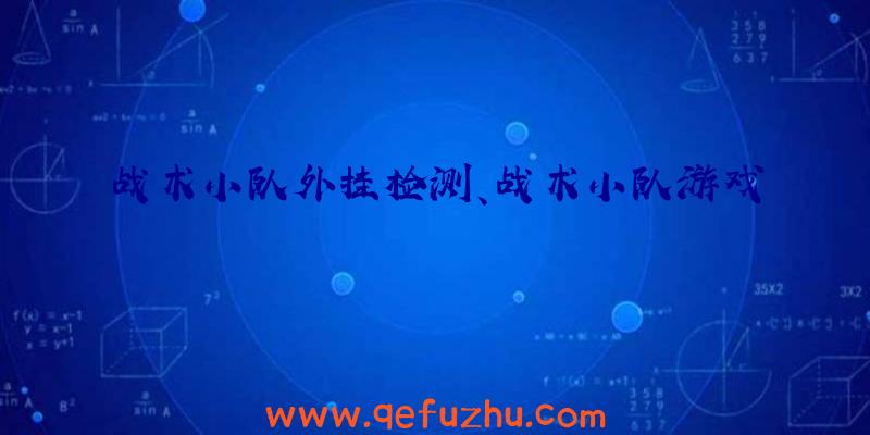 战术小队外挂检测、战术小队游戏