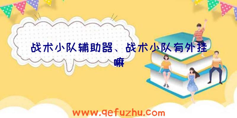 战术小队辅助器、战术小队有外挂嘛