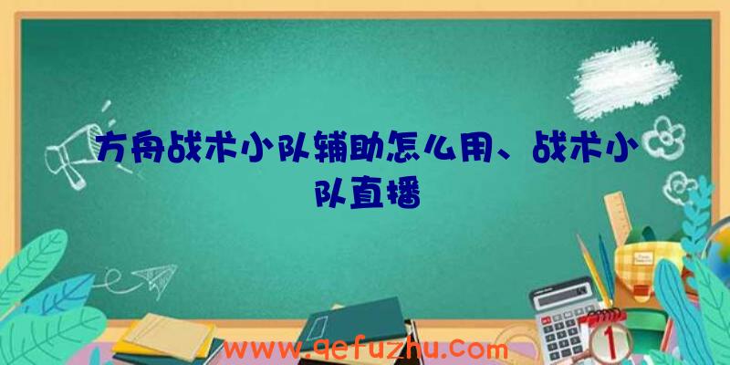 方舟战术小队辅助怎么用、战术小队直播