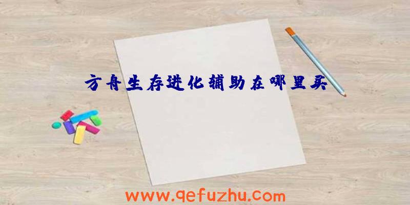方舟生存进化辅助在哪里买