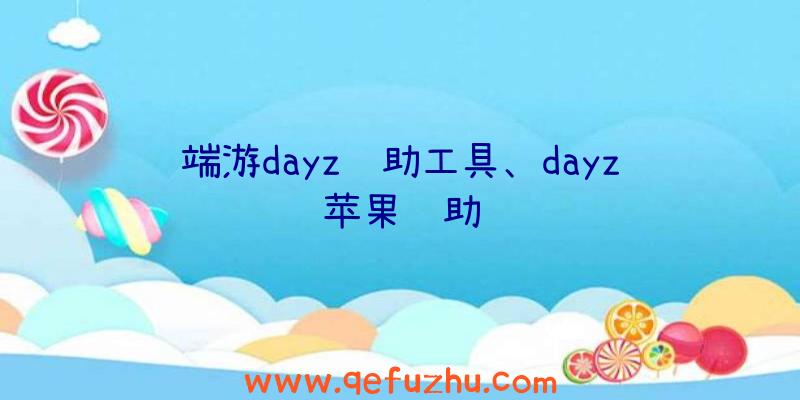 端游dayz辅助工具、dayz苹果辅助