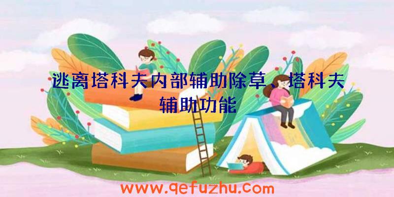 逃离塔科夫内部辅助除草、塔科夫辅助功能
