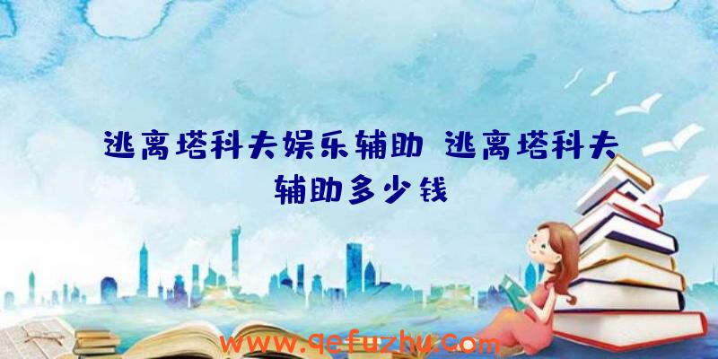 逃离塔科夫娱乐辅助、逃离塔科夫辅助多少钱