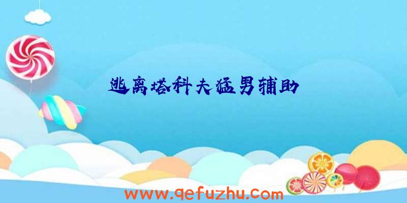 逃离塔科夫猛男辅助