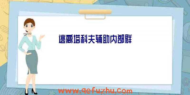 逃离塔科夫辅助内部群