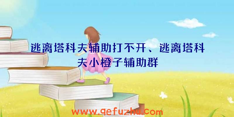 逃离塔科夫辅助打不开、逃离塔科夫小橙子辅助群