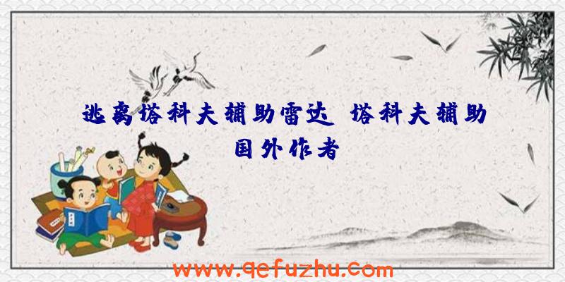 逃离塔科夫辅助雷达、塔科夫辅助国外作者