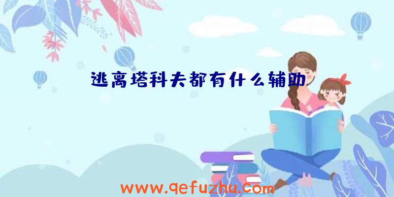 逃离塔科夫都有什么辅助