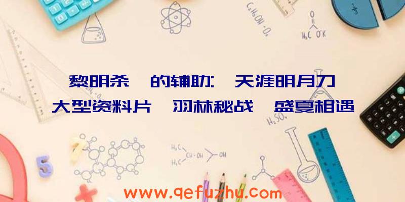 黎明杀戮的辅助:《天涯明月刀》大型资料片《羽林秘战》盛夏相遇