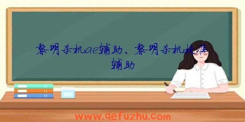 黎明杀机ae辅助、黎明杀机校准辅助