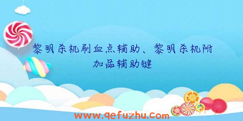 黎明杀机刷血点辅助、黎明杀机附加品辅助键