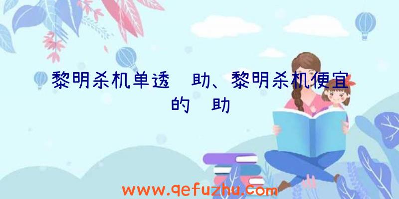 黎明杀机单透辅助、黎明杀机便宜的辅助