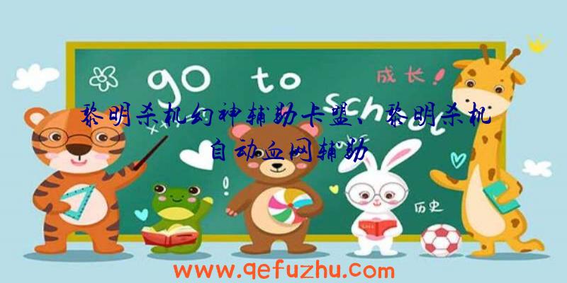 黎明杀机幻神辅助卡盟、黎明杀机自动血网辅助