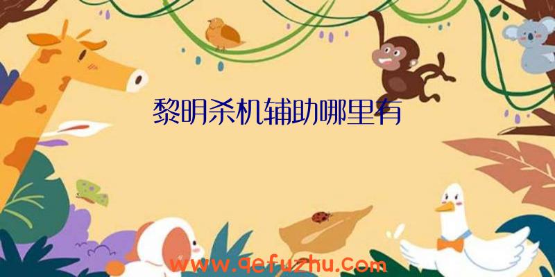 黎明杀机辅助哪里有